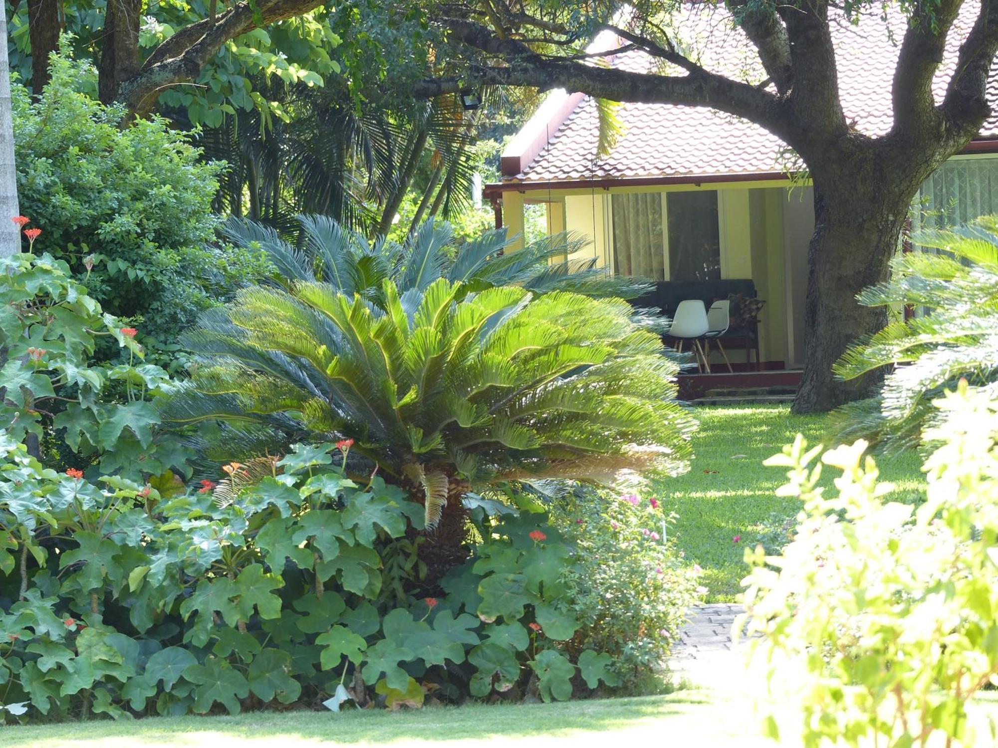 Ancha'S Oasis Hotel Maputo Exterior photo
